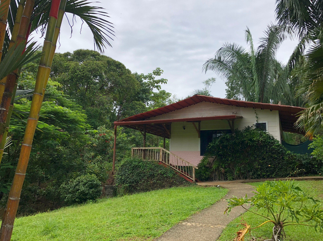 Blue Banyan Inn主图