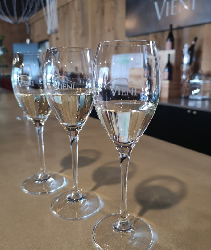 Magic Winery Bus景点图片