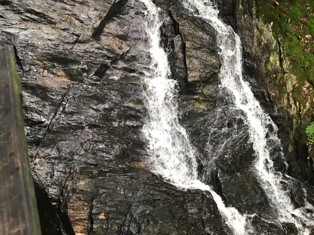 Thundering Brook Falls Trail景点图片