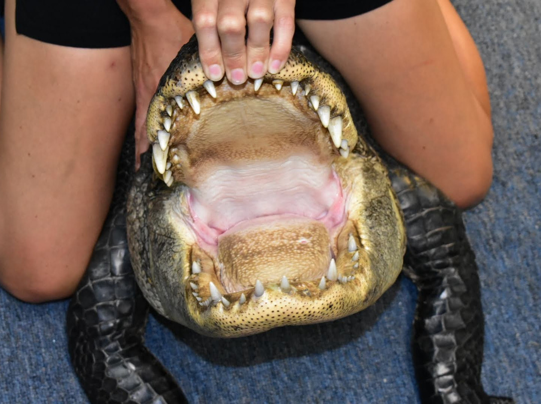 Scales and Tails Utah-西瓦利城必去景点