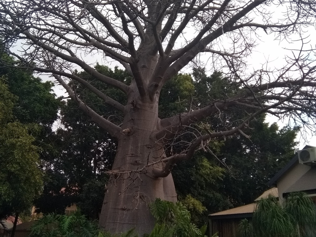 Dei Gratia Guest House主图