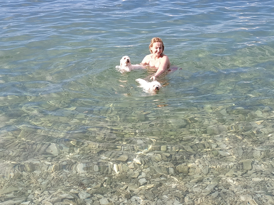 Apartments Kanegra Plava Laguna主图