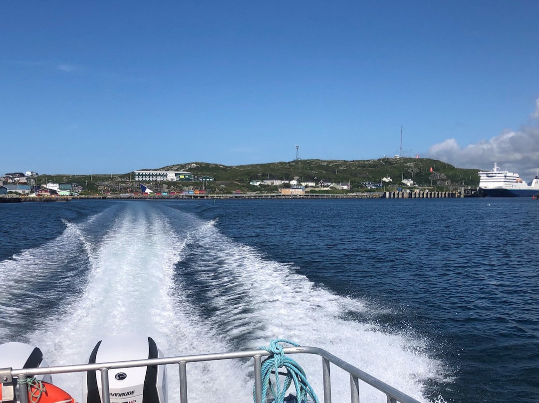 Port aux Basques Marine Excursions Inc.景点图片