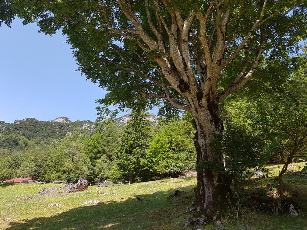 Riserva Naturale Val Alba景点图片