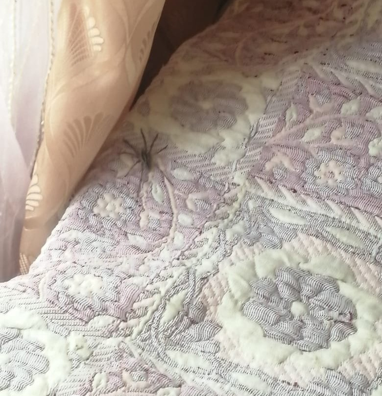 Polynny Guest House主图