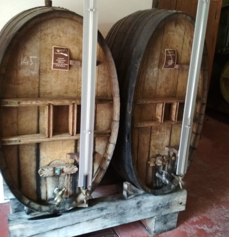 Distillerie la Salamandre景点图片