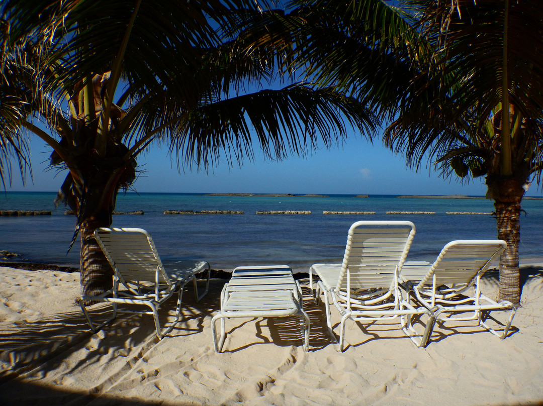 Paradise Cove Beach Resort主图