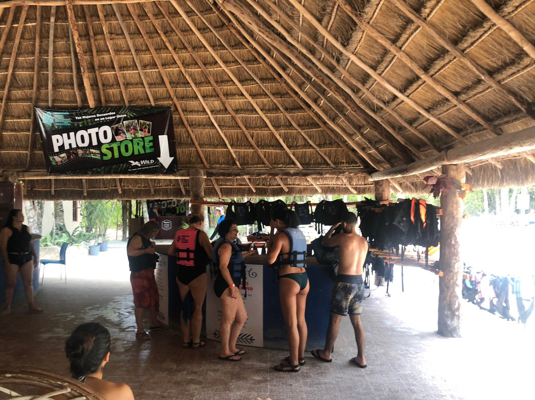 Cenotes Casa Tortuga Tulum景点图片