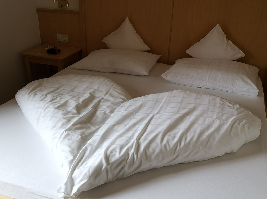 Hotel Garni Hubertus主图