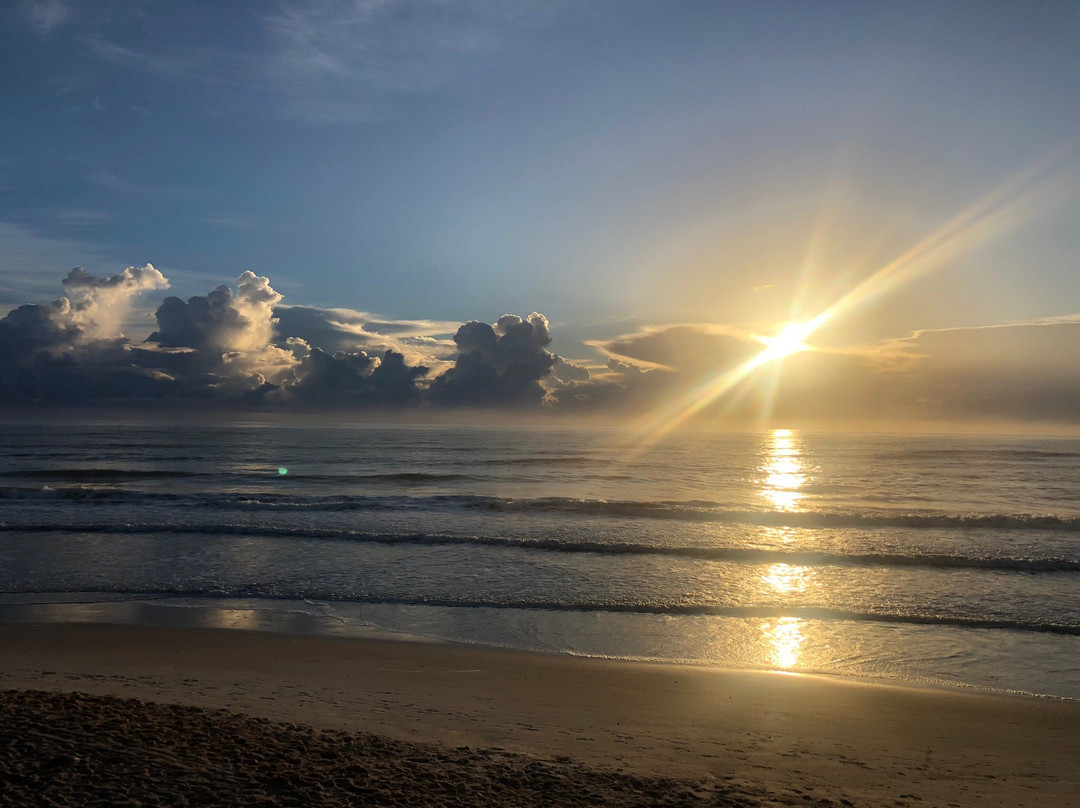 Jungle Hut Park-棕榈海岸必去景点