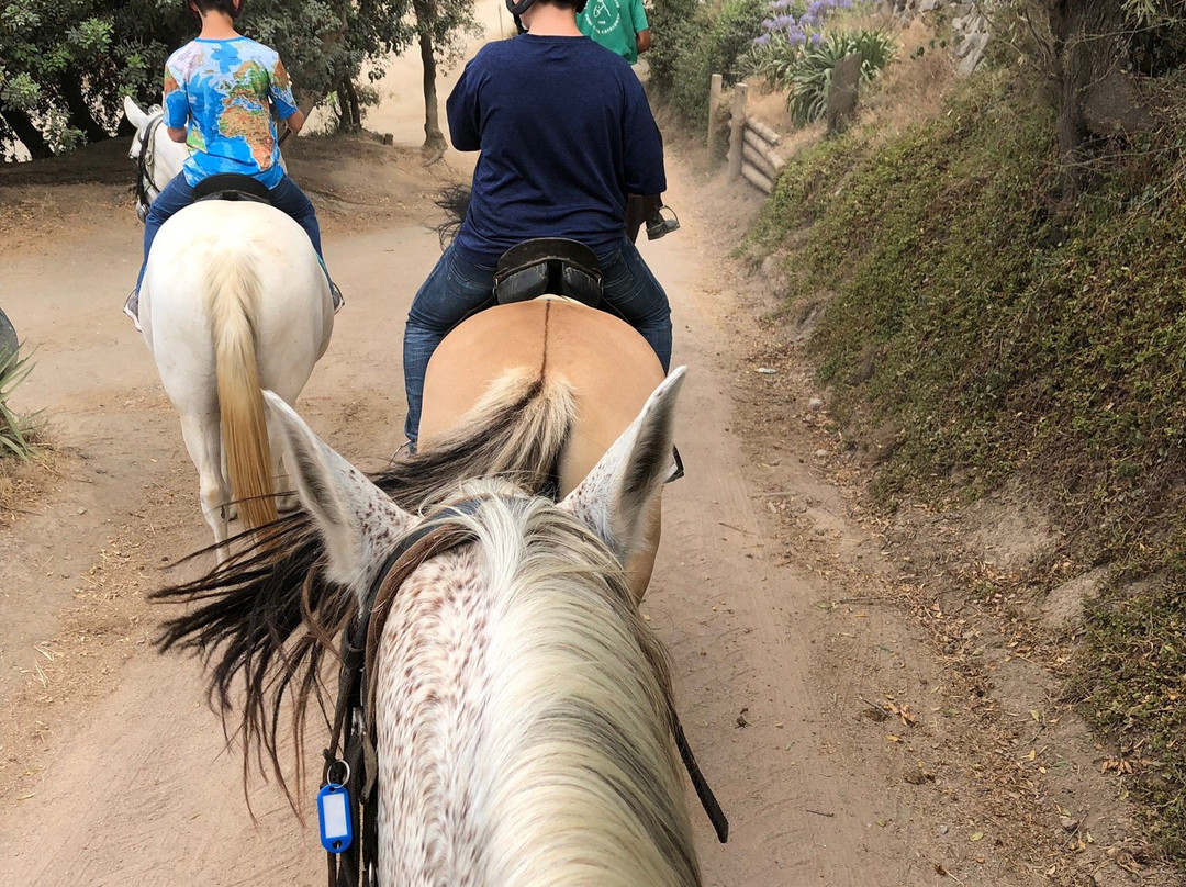 Barcelona Horse Tours景点图片