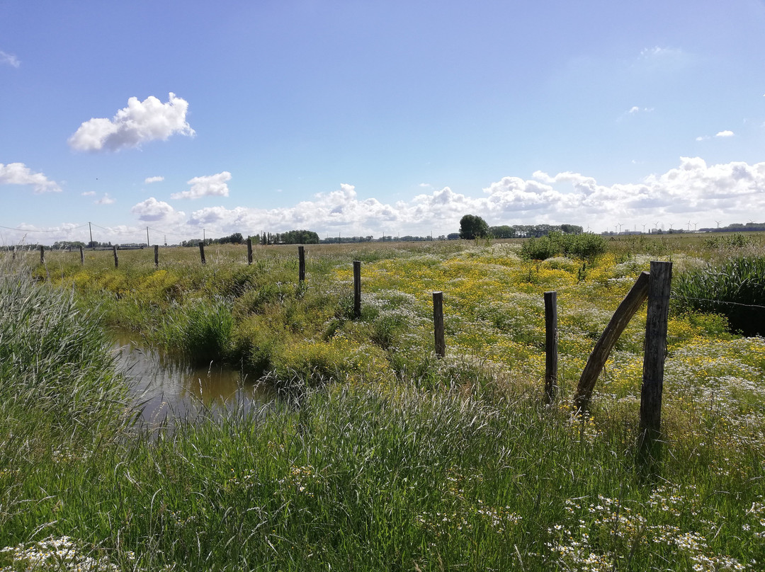 Uitkerkse Polder-布朗肯堡必去景点