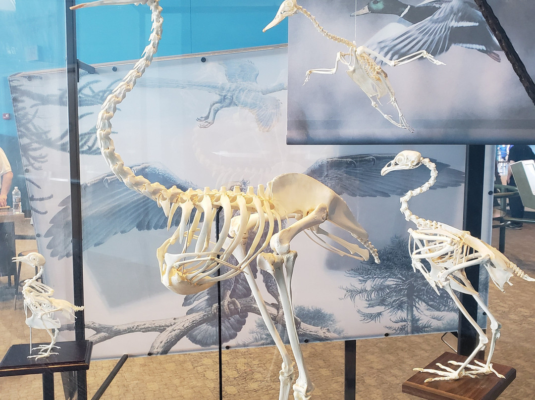 Maryland Science Center-巴尔的摩必去景点