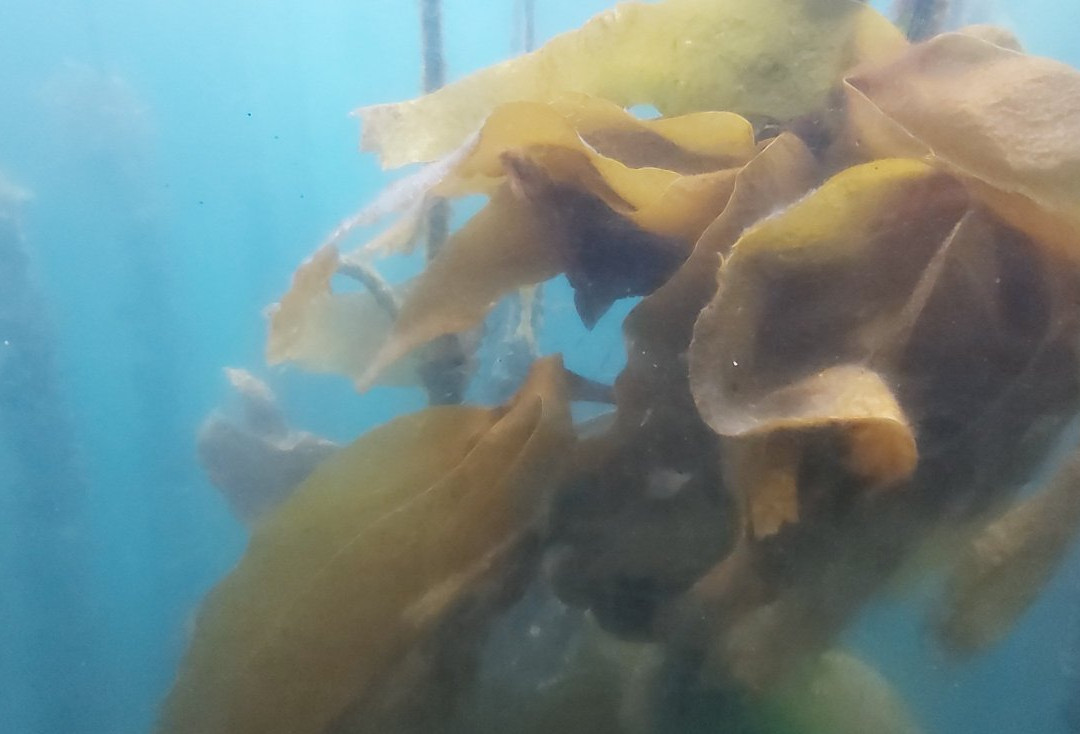 Cruceros Angel-格罗韦必去景点