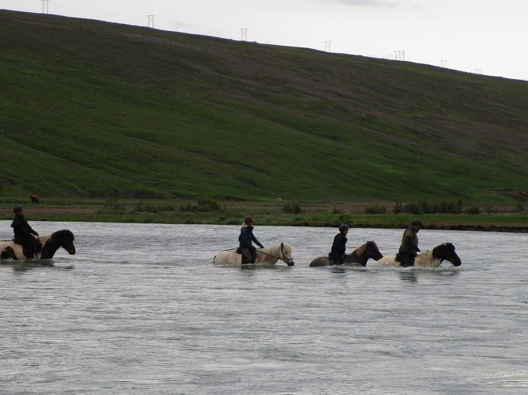 Topphestar-Saudarkrokur必去景点