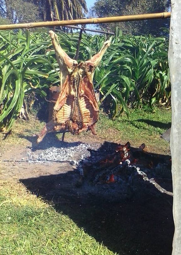 El Paraiso-Carrizales必去景点