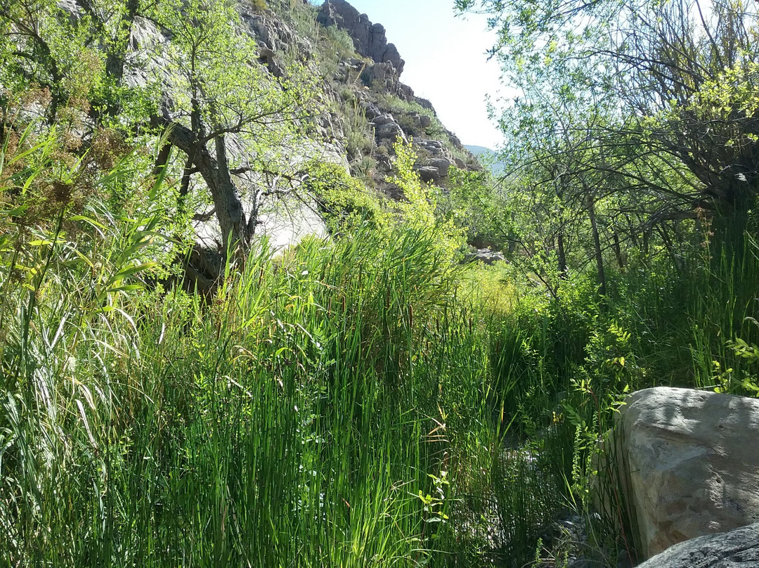 Oliver Lee Memorial State Park-阿拉莫戈多必去景点