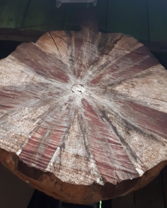 Centro Cultural Antiquario Museu da Estancia-Mampituba必去景点