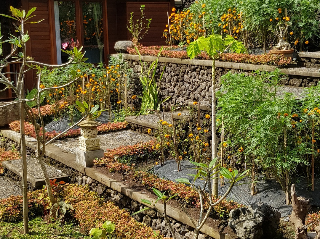 Embang Homestay主图