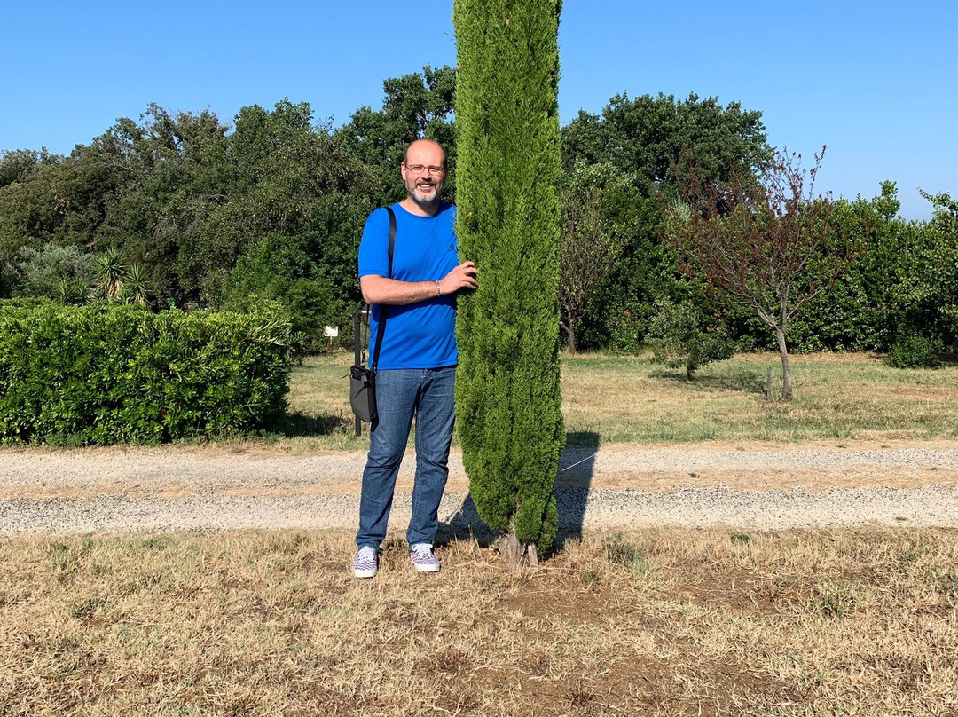 Agriturismo La Leccia主图