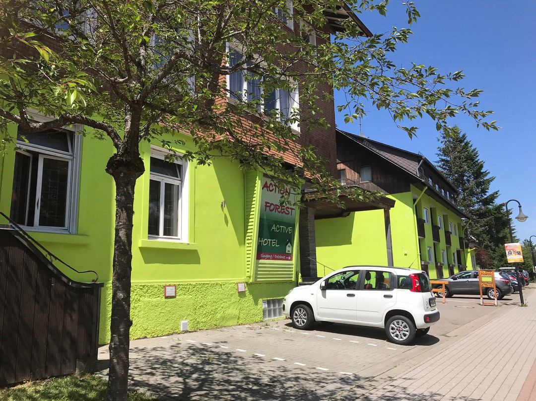 B＆B森林积极行动酒店主图