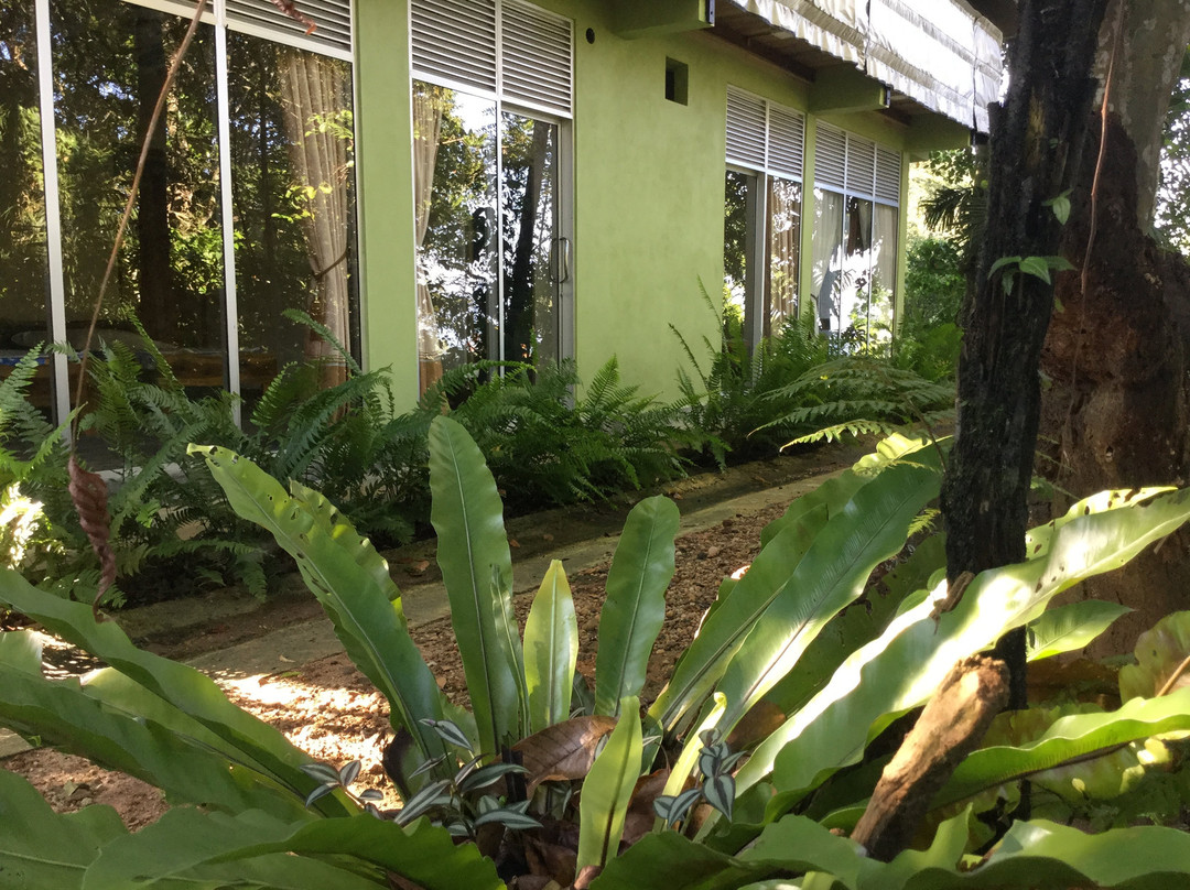 Deniyaya酒店住宿-Sinharaja Kurulu Ella Eco Resort