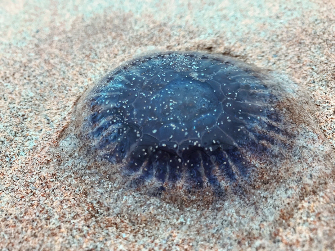 Clachtoll Beach景点图片
