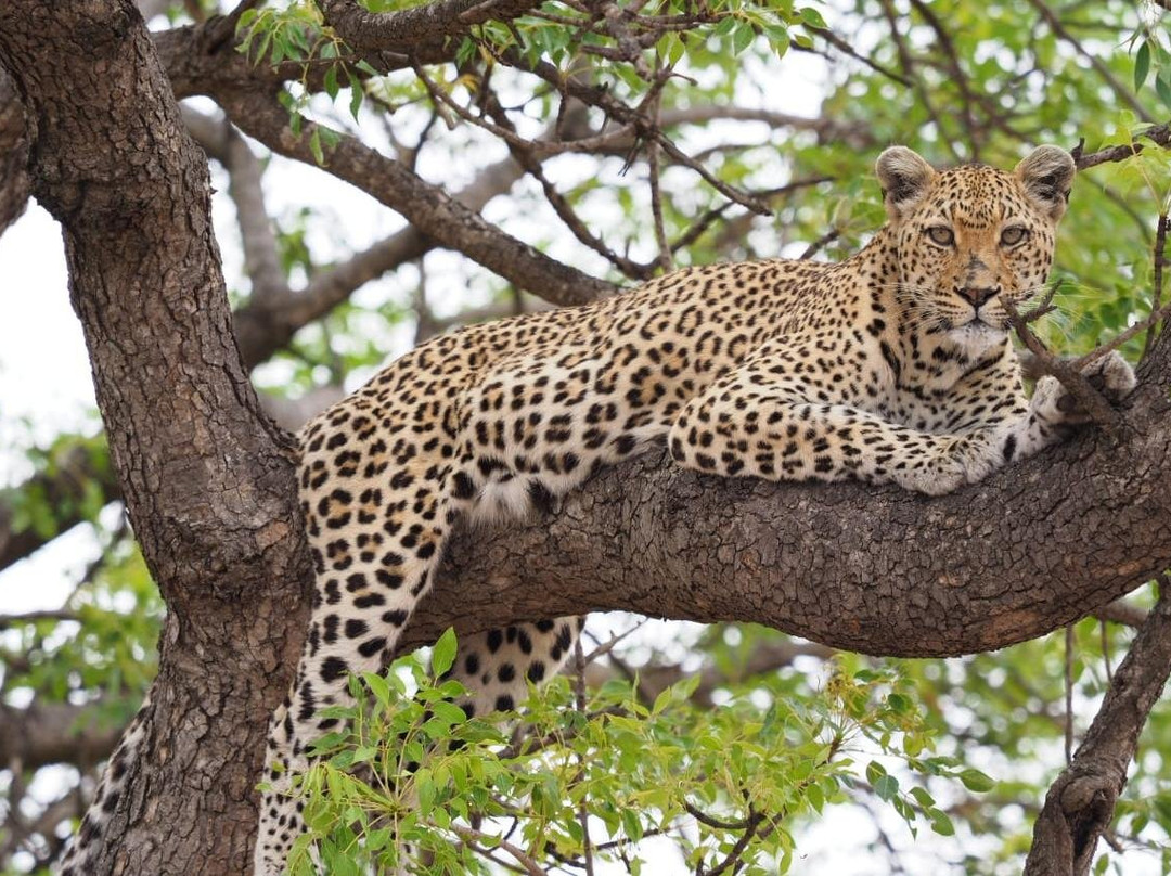 Izizwe Rainbow Tours