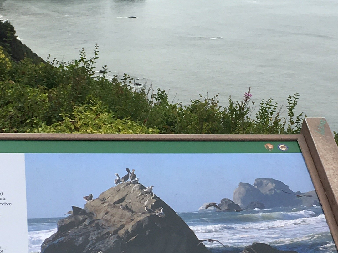 Crescent Beach Overlook景点图片