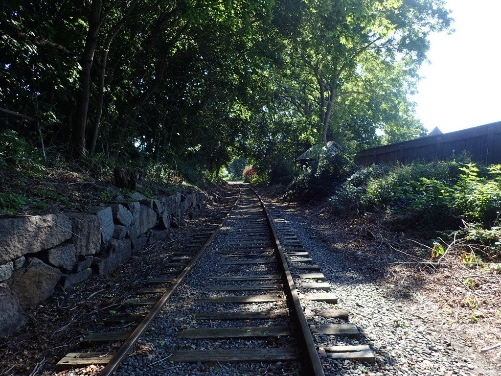 Rail Explorers景点图片