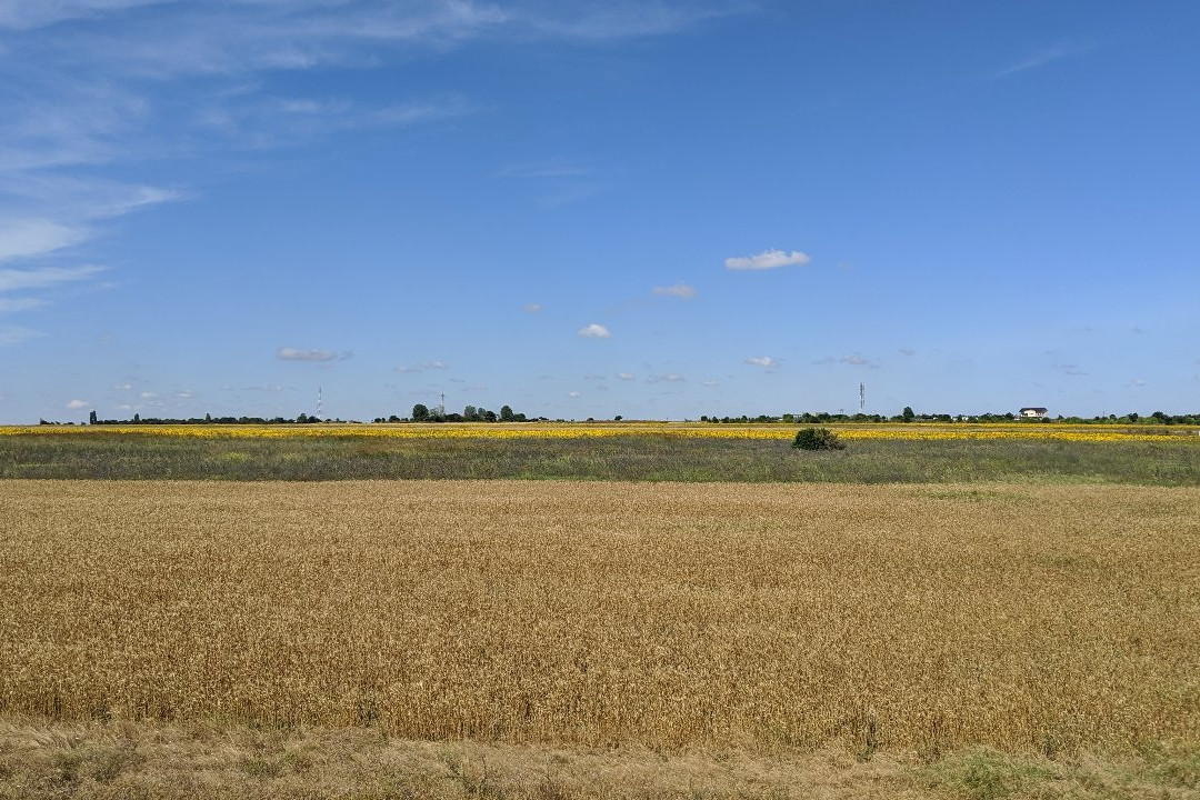 OK by Ovo House主图