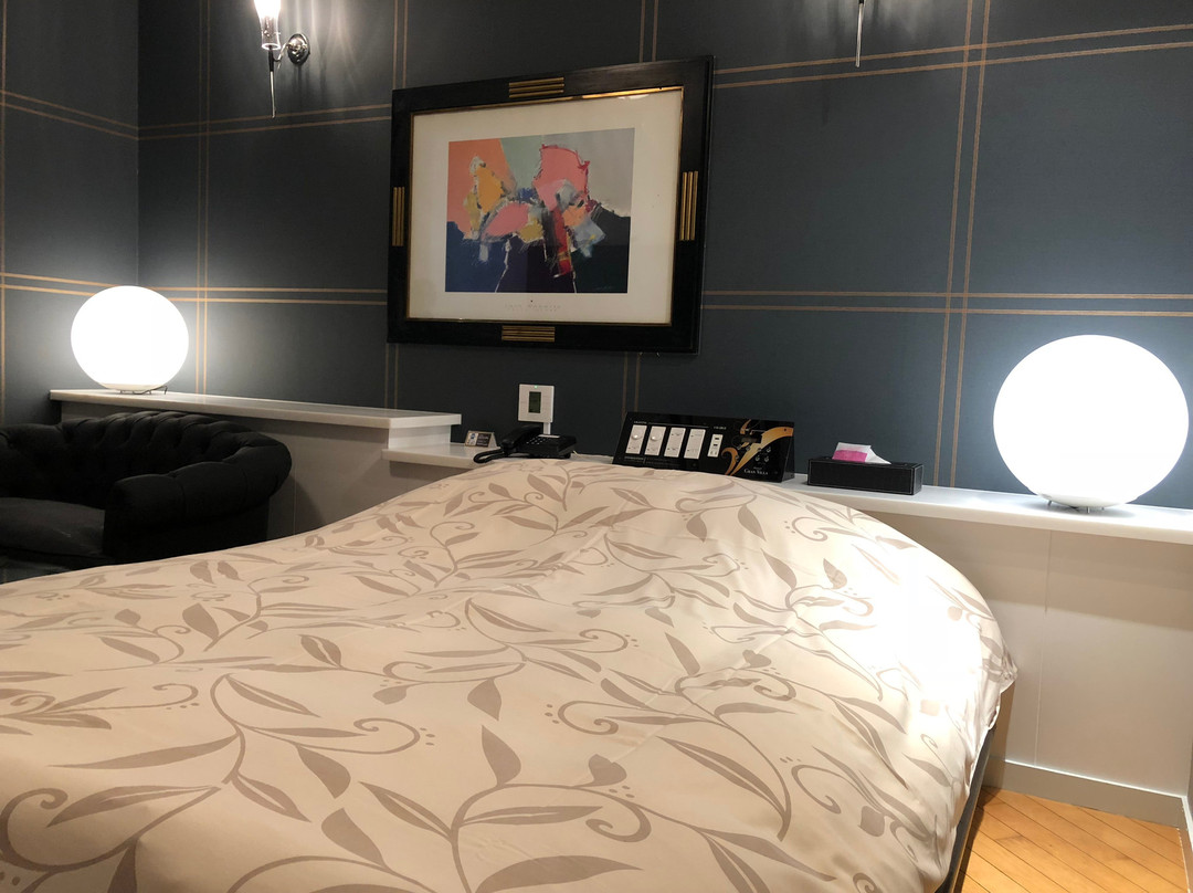 Hotel Gran Villa主图