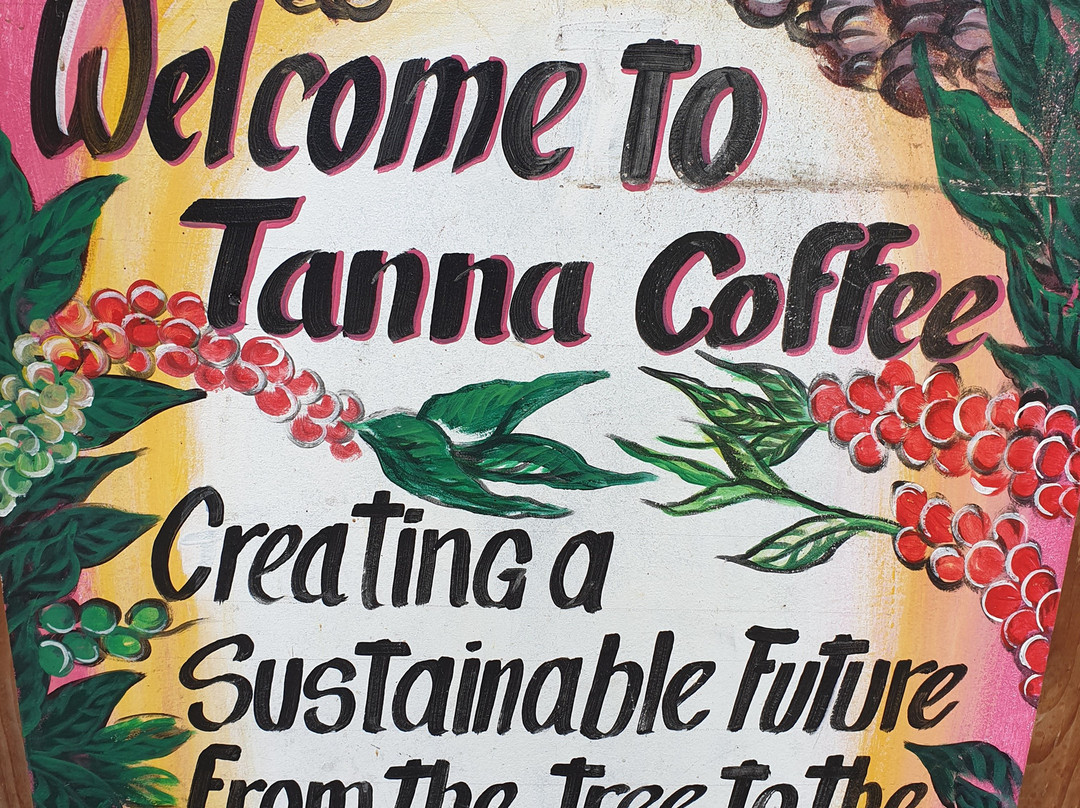 Tanna Coffee景点图片