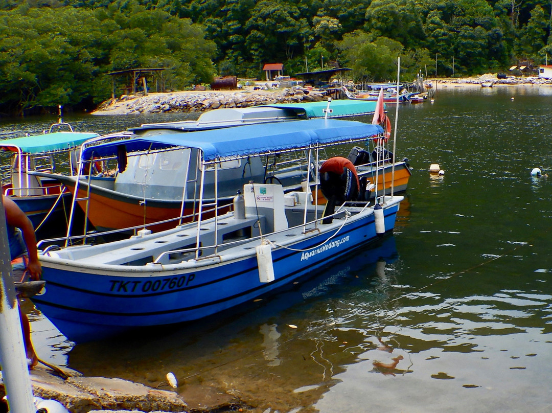 Aquarius Redang Dive Centre-热浪岛必去景点