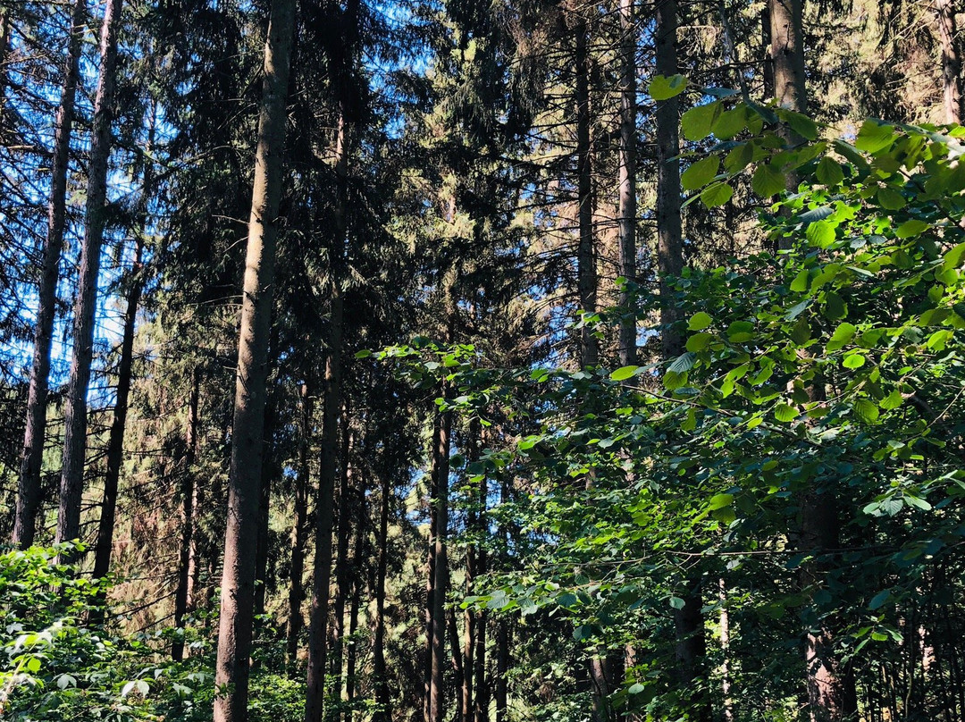 Au fil des saisons sur la Wiels主图