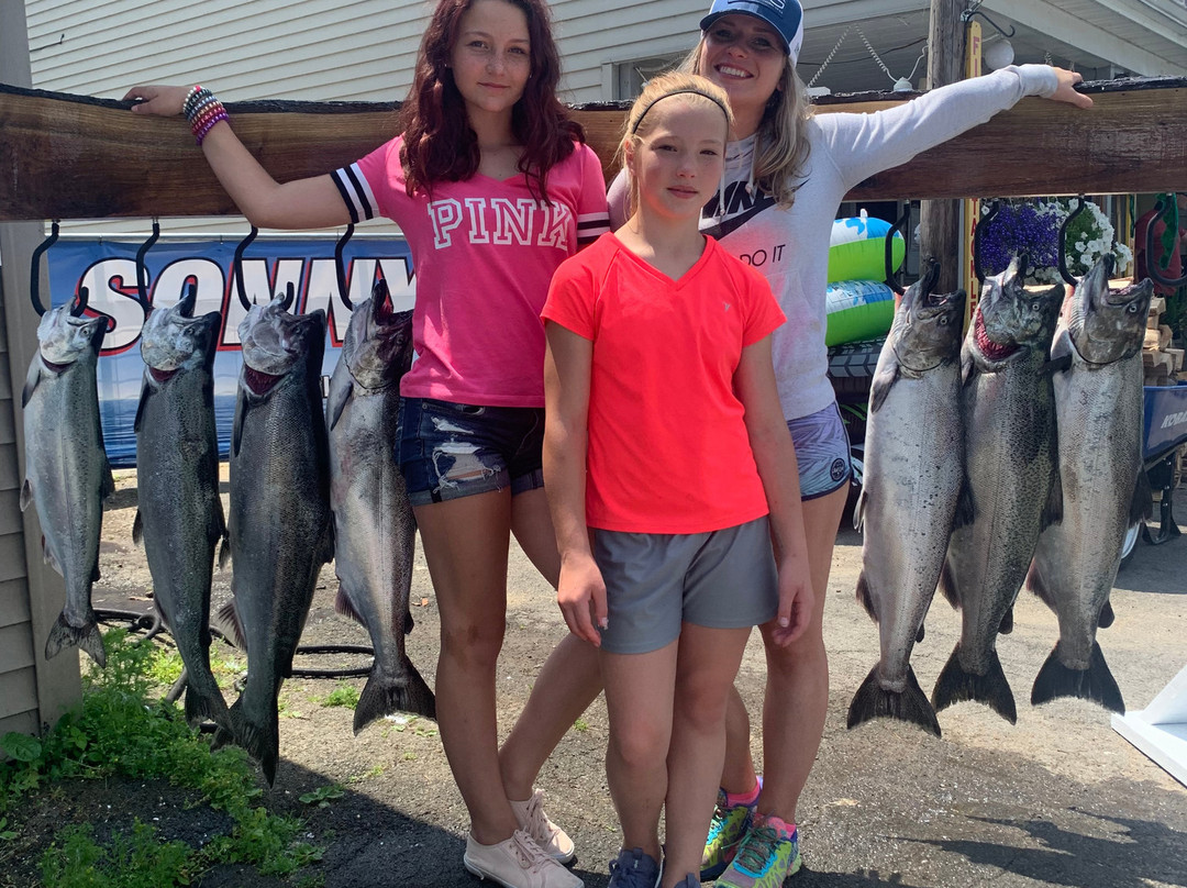 Rainbow Shores主图