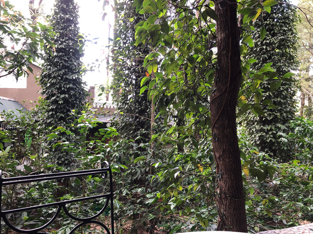 恩德科森林湖酒店主图