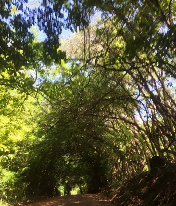 Pousada Paradiso Tropical主图