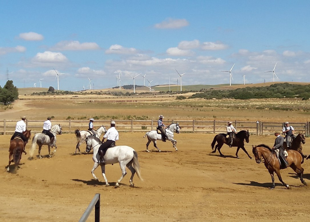 A Campo Abierto景点图片