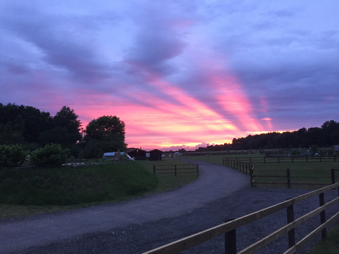 Kings Forest Caravan Park