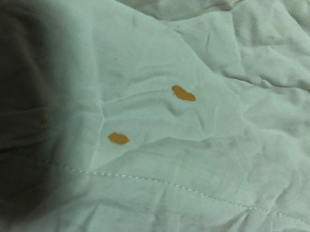 Hotel Novela Star主图