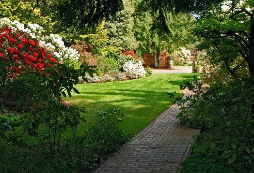 Soos Creek Botanical Garden景点图片