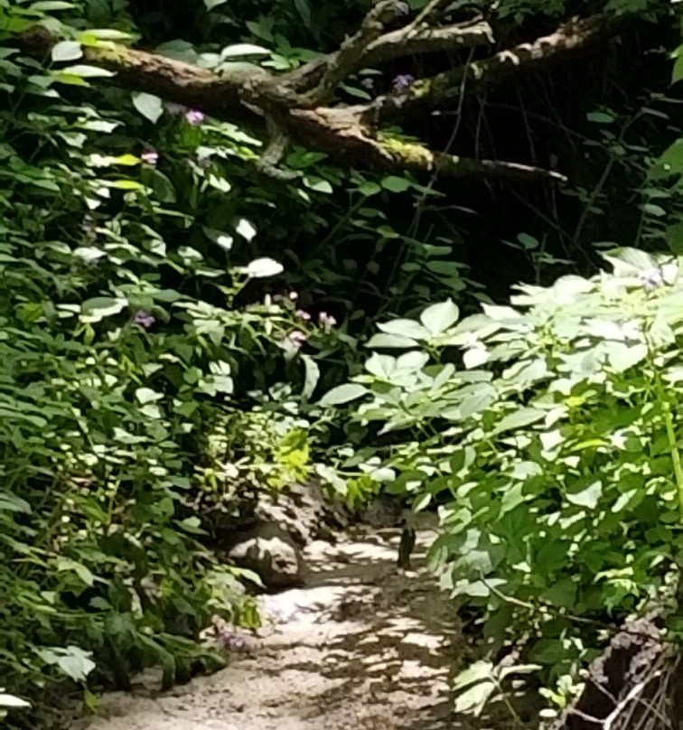 Flandrau State Park-New Ulm必去景点