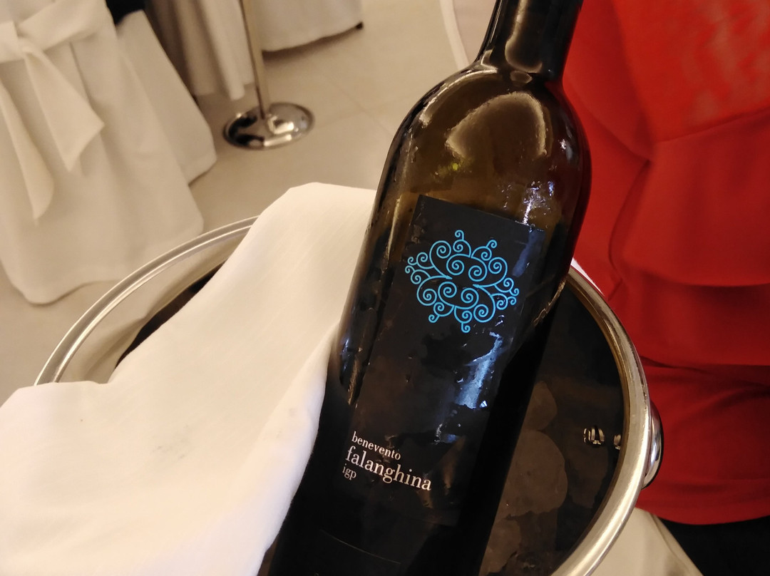 科拉公园度假酒店主图