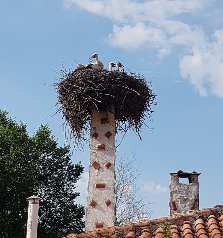 布拉亚斯塔大楼酒店主图