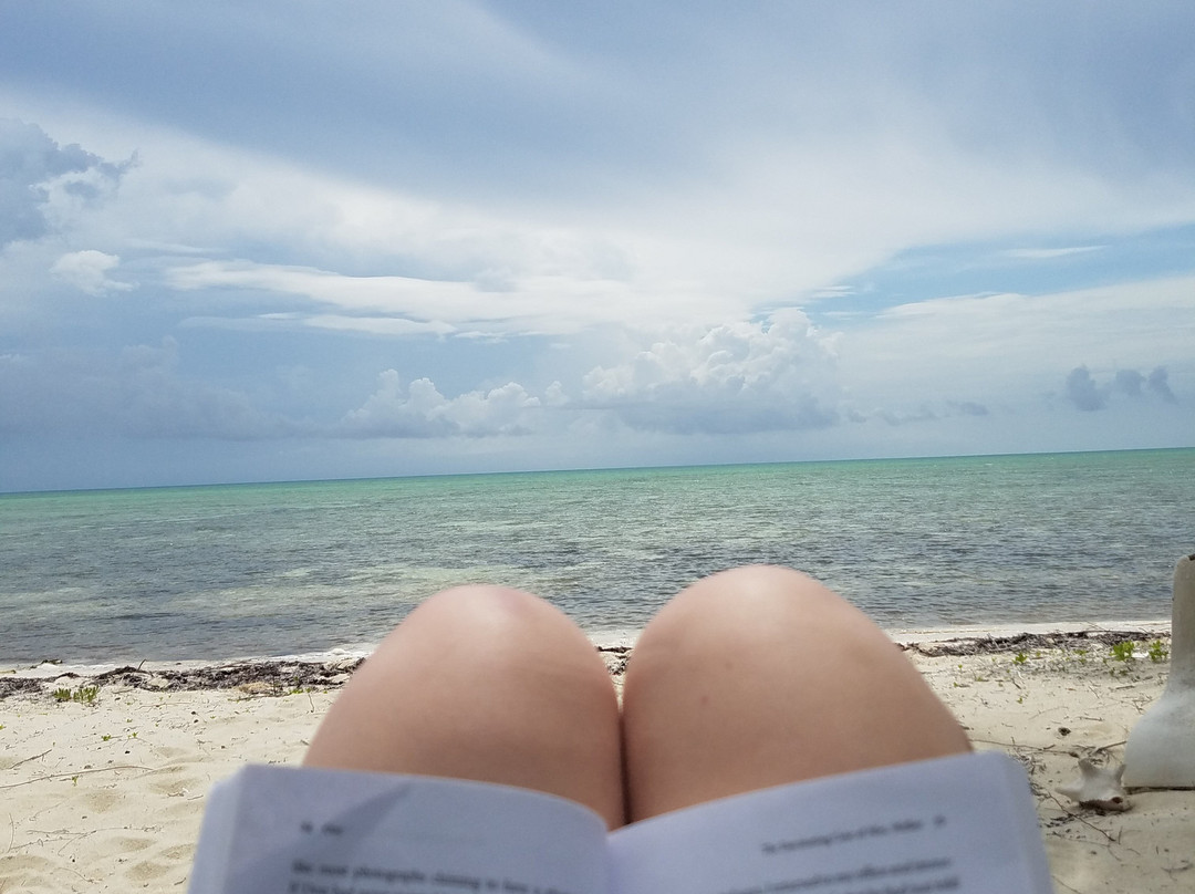 Seascape Inn, Andros主图