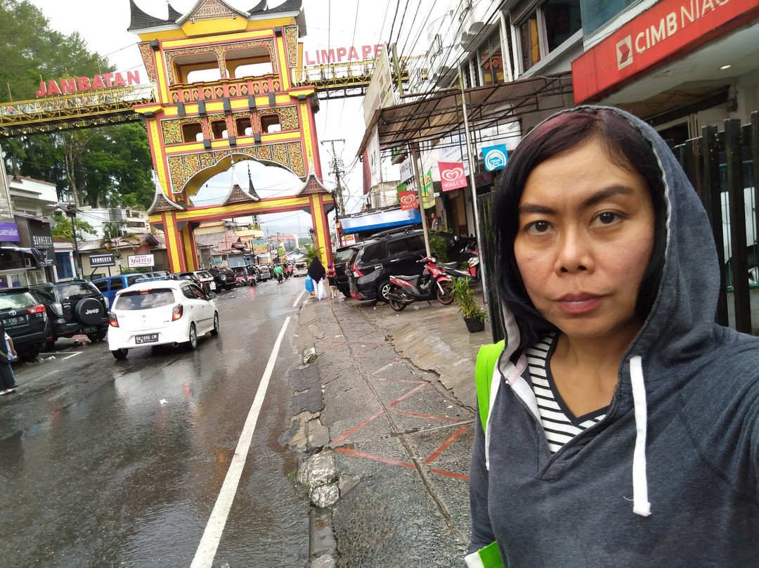 Limpapeh Bridge-武吉丁宜必去景点