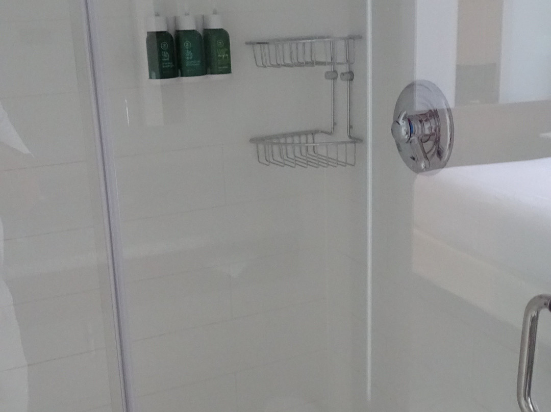 SpringHill Suites by Marriott Alexandria Old Town/Southwest主图