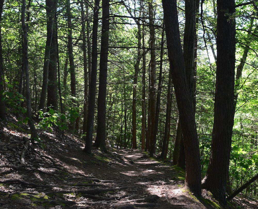 Mount Sugarloaf State Reservation景点图片