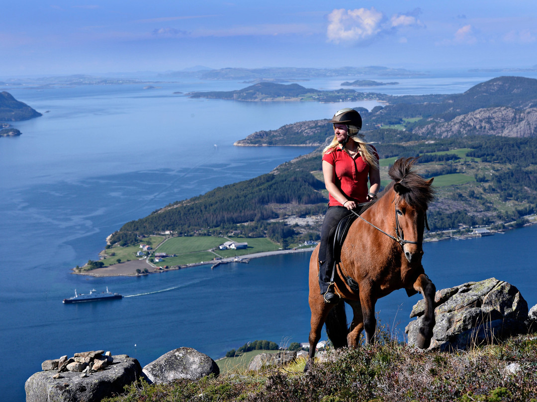 Fossanmoen Islandshestsenter景点图片